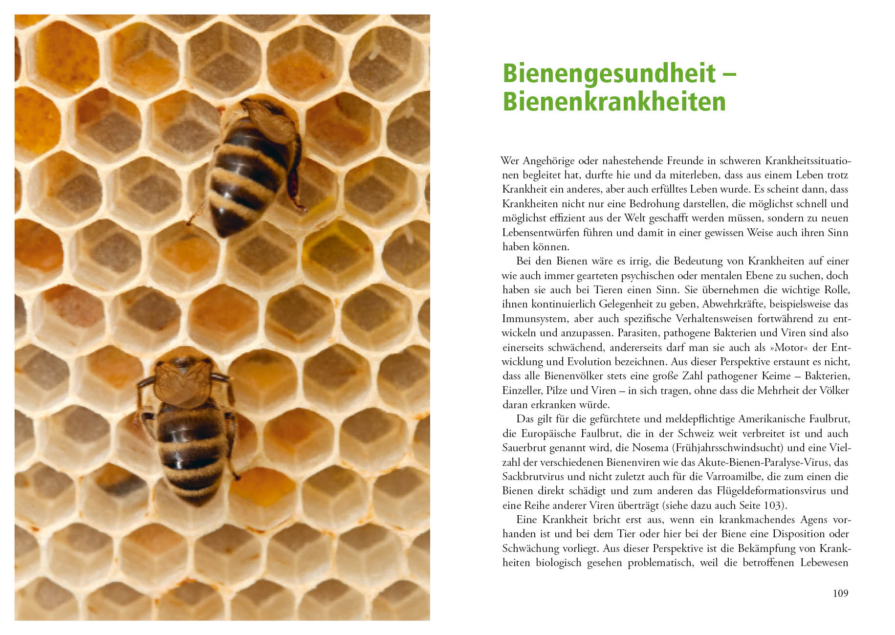 9783895664021_innenansicht_03.jpg