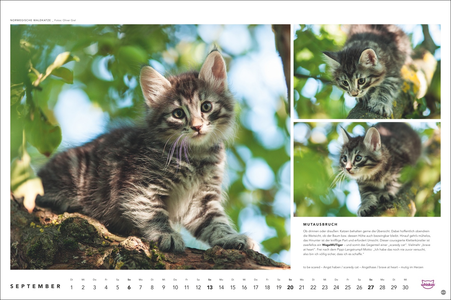 9783756413119_innenansicht_09 9783756413119_innenansicht_09.jpg