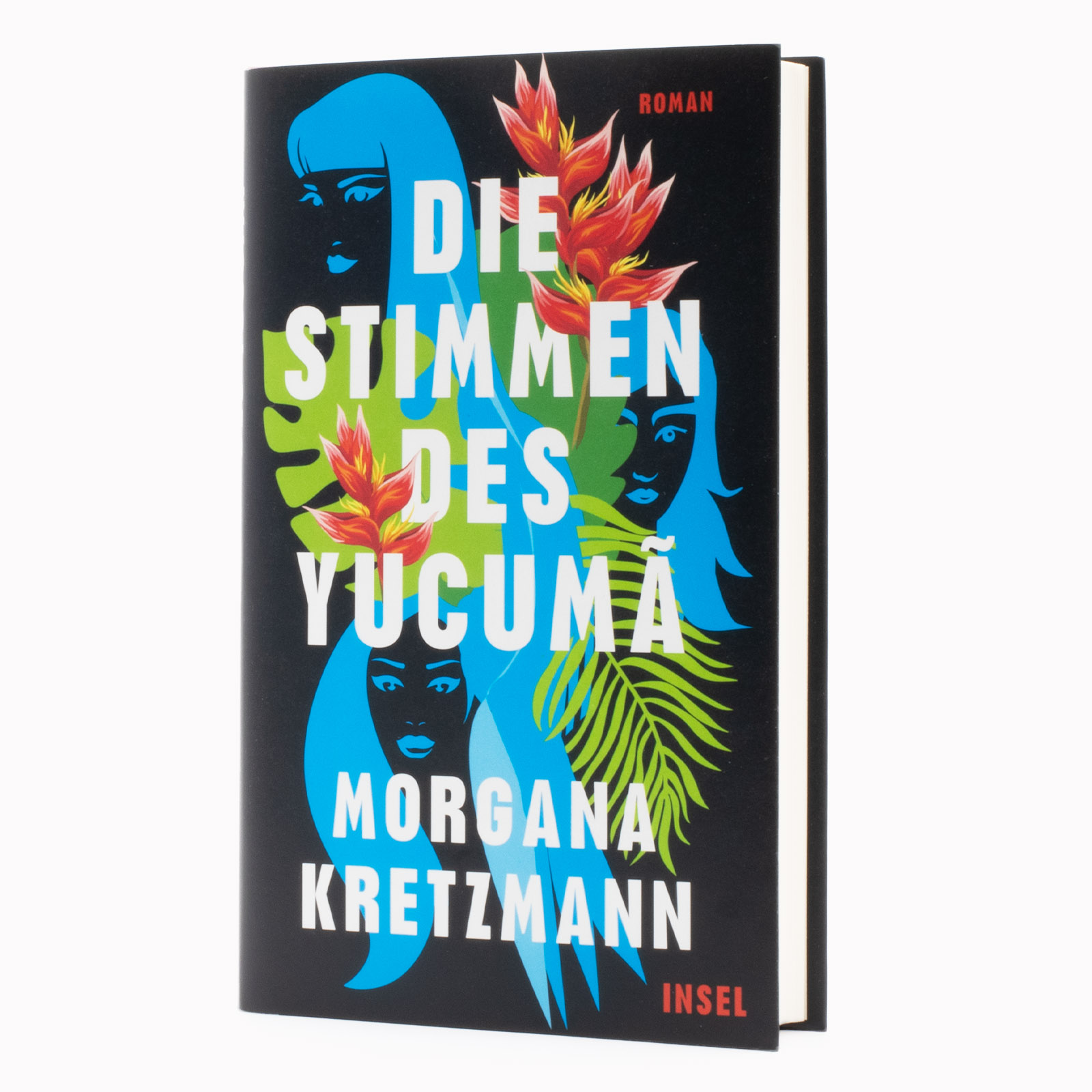 9783458644859_weiterecover_01 9783458644859_weiterecover_01.jpg