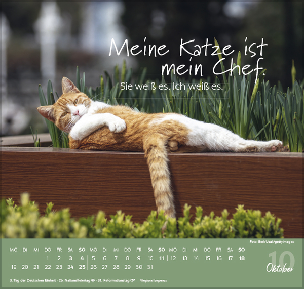 9783731888482_innenansicht_10.jpg