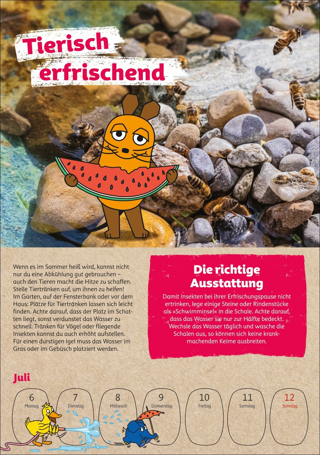 9783840037986_innenansicht_09.jpg
