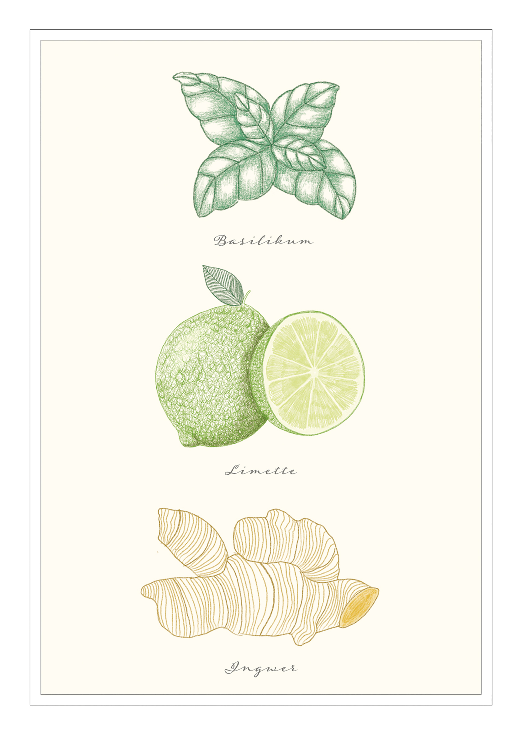 4250222903221_innenansicht_02 4250222903221_innenansicht_02.jpg