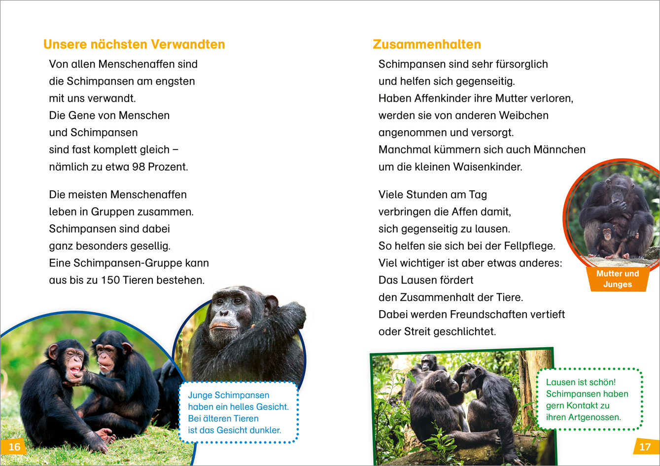 9783788676780_innenansicht_02.jpg
