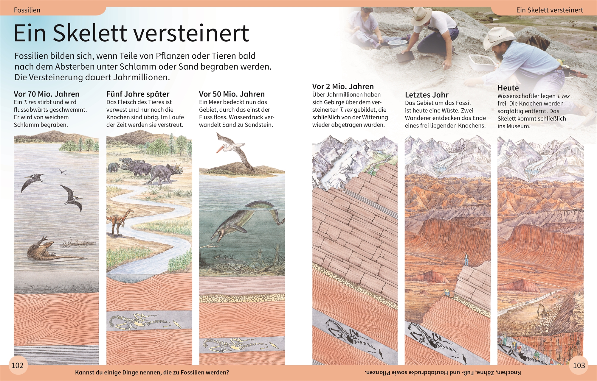 9783831044191_innenansicht_05.jpg