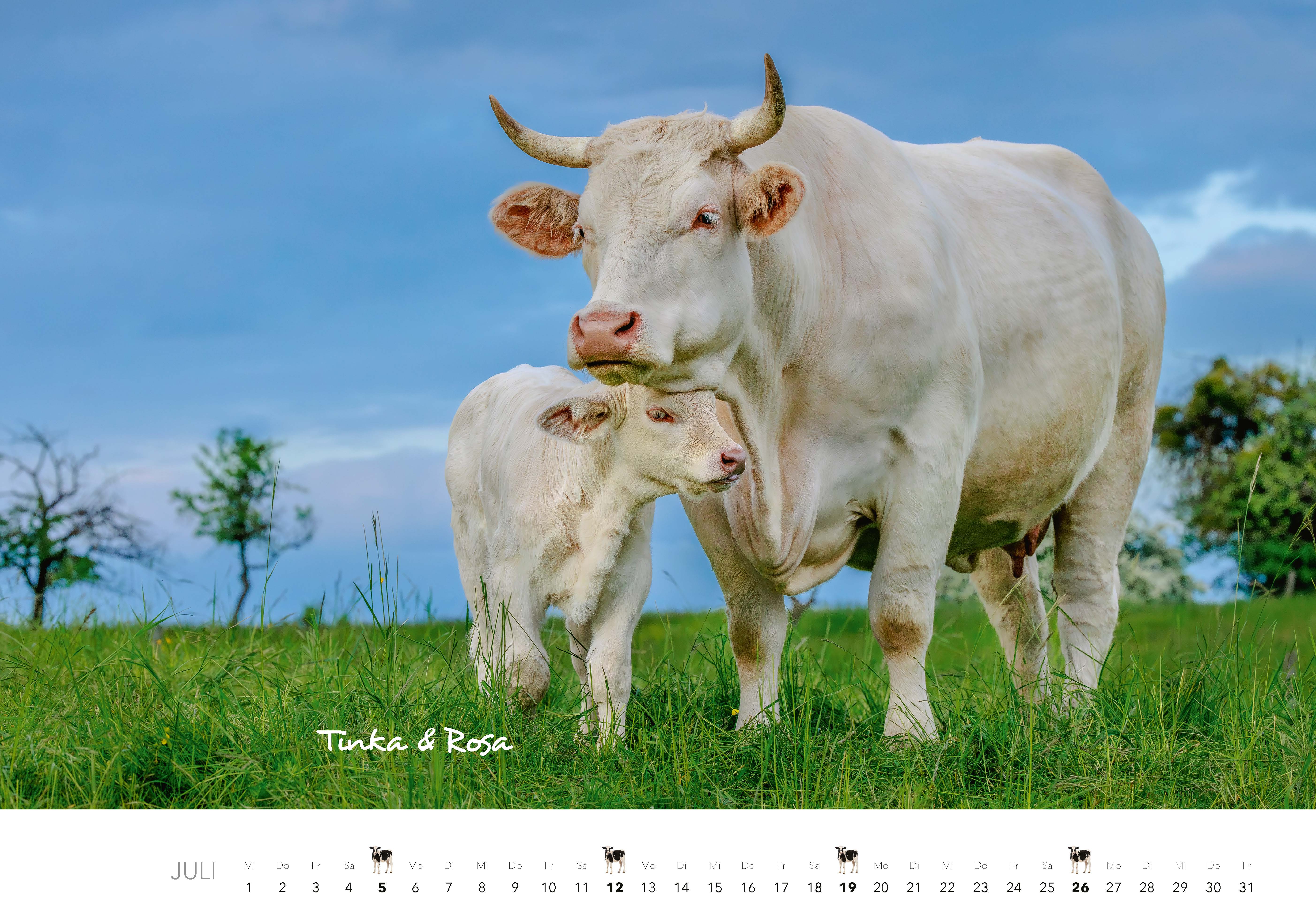 9783966649704_innenansicht_07 9783966649704_innenansicht_07.jpg