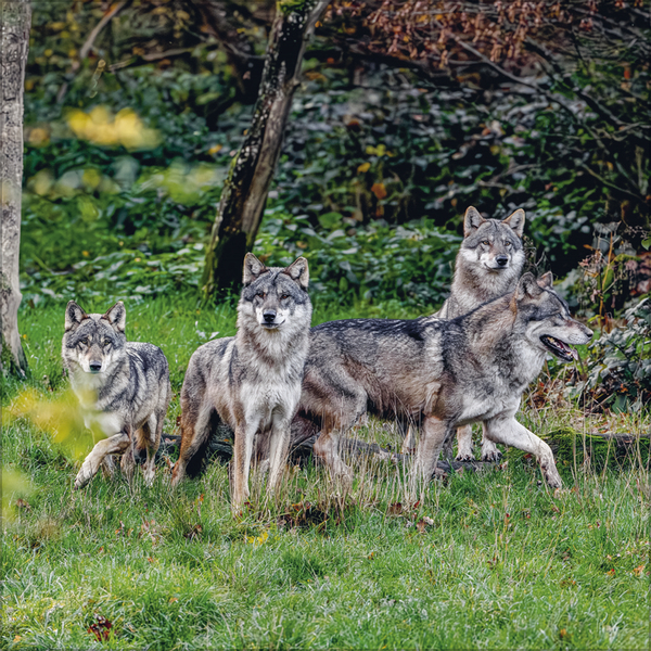9783731883920_innenansicht_09.jpg