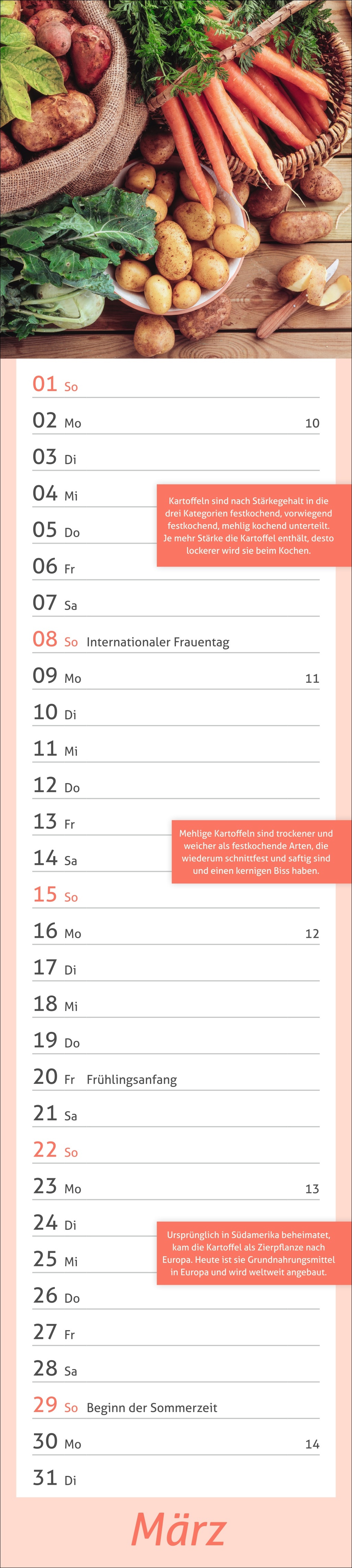 9783756412778_innenansicht_03.jpg
