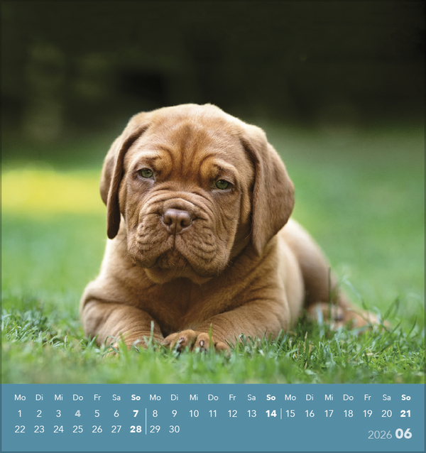 9783731884064_innenansicht_06 9783731884064_innenansicht_06.jpg