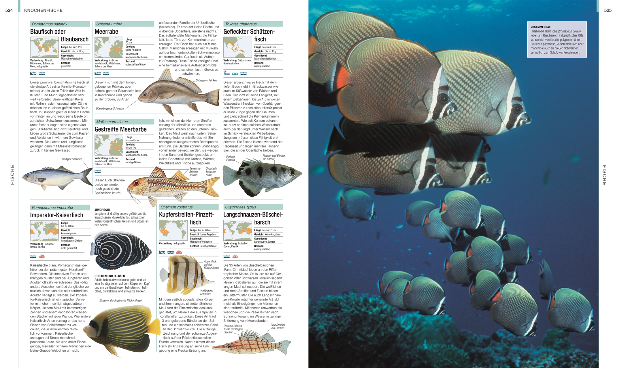 9783831048489_innenansicht_10 9783831048489_innenansicht_10.jpg