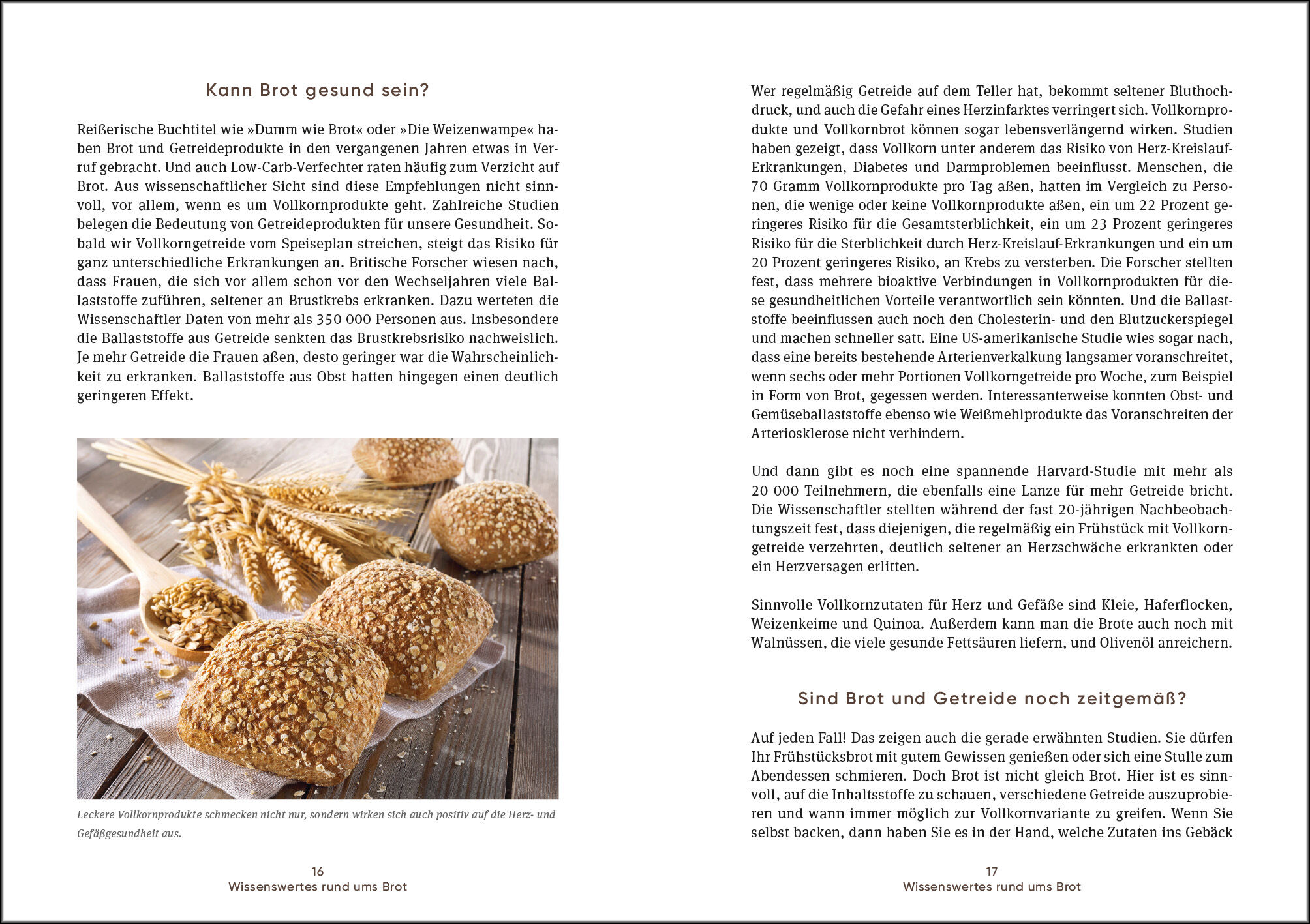 9783517103211_innenansicht_02.jpg