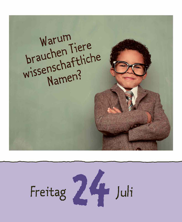 9783731889199_innenansicht_11.jpg