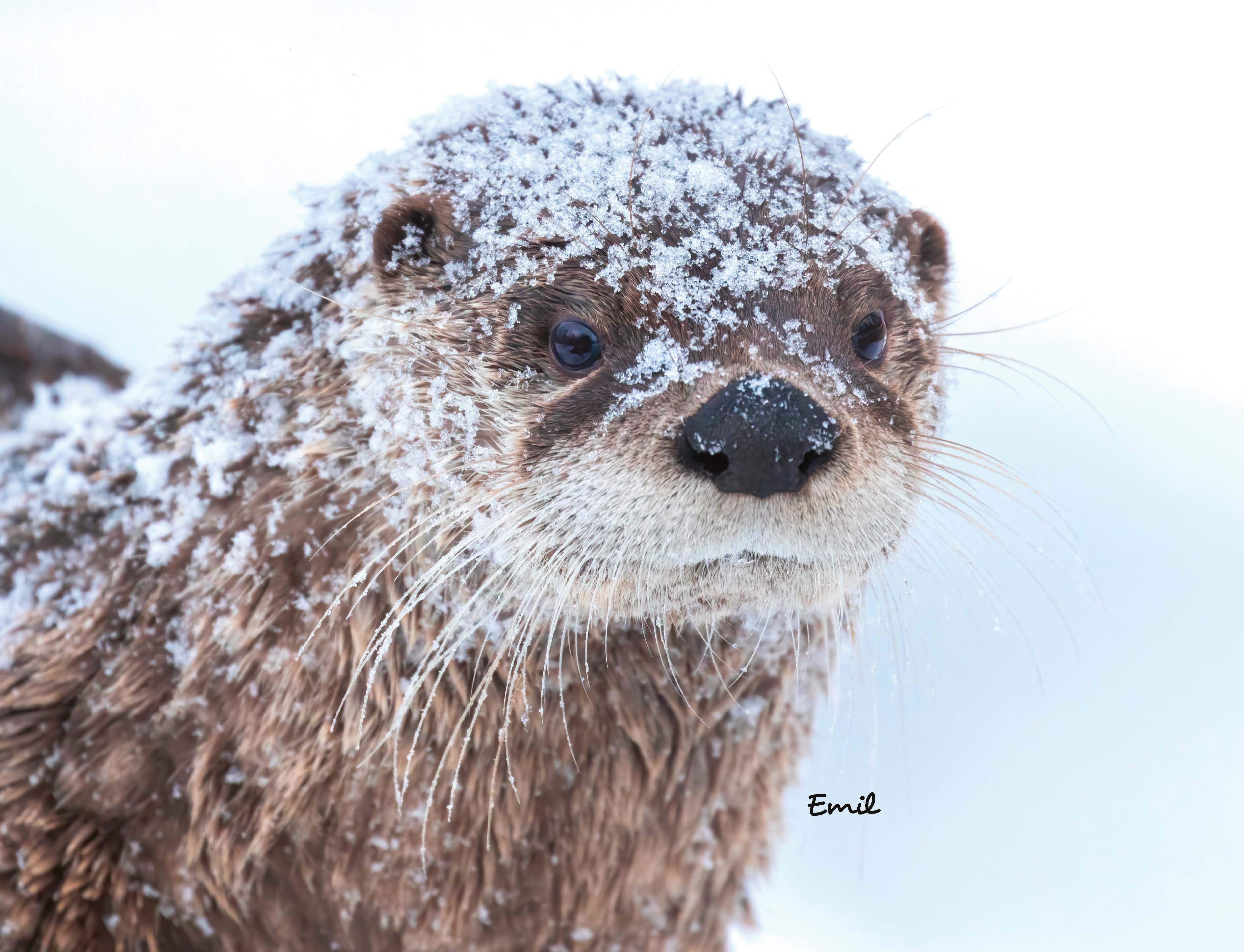 9783966649964_innenansicht_23 9783966649964_innenansicht_23.jpg