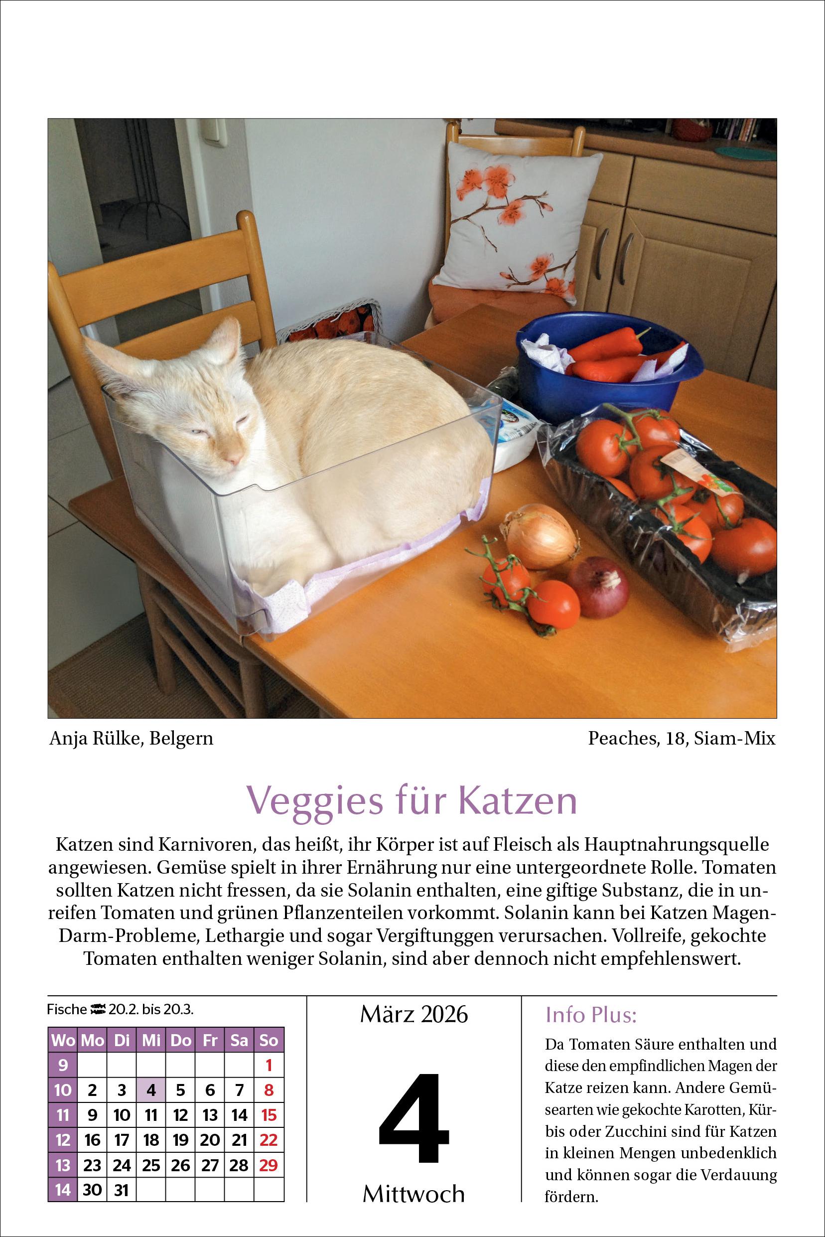 9783865171764_innenansicht_03.jpg