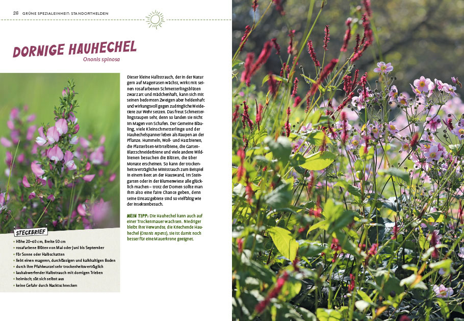 9783818617523_innenansicht_05 9783818617523_innenansicht_05.jpg