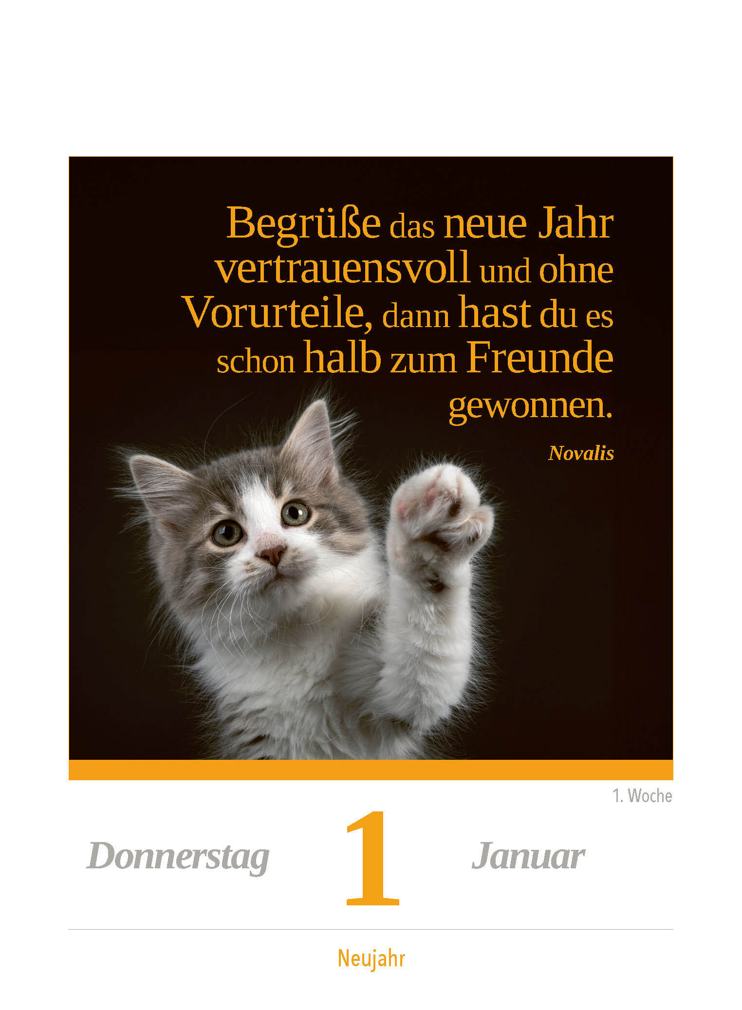 9783517103624_innenansicht_01.jpg