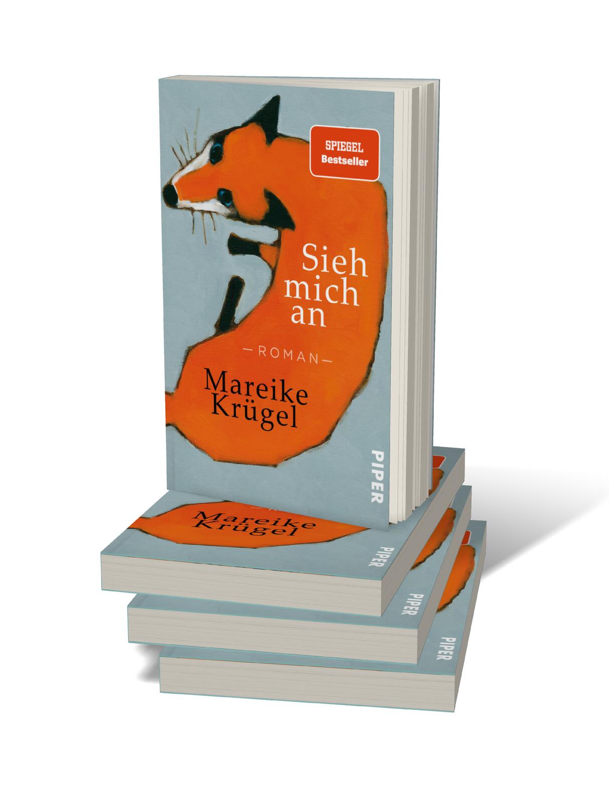9783492314169_innenansicht_01.jpg