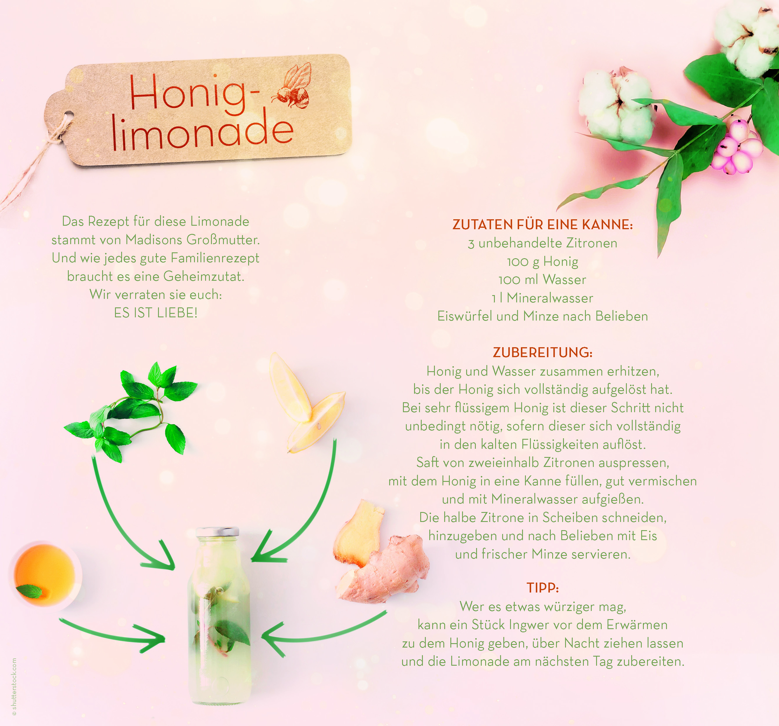 9783499005220_innenansicht_01 9783499005220_innenansicht_01.jpg