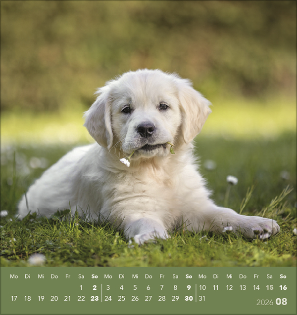 9783731884064_innenansicht_08 9783731884064_innenansicht_08.jpg