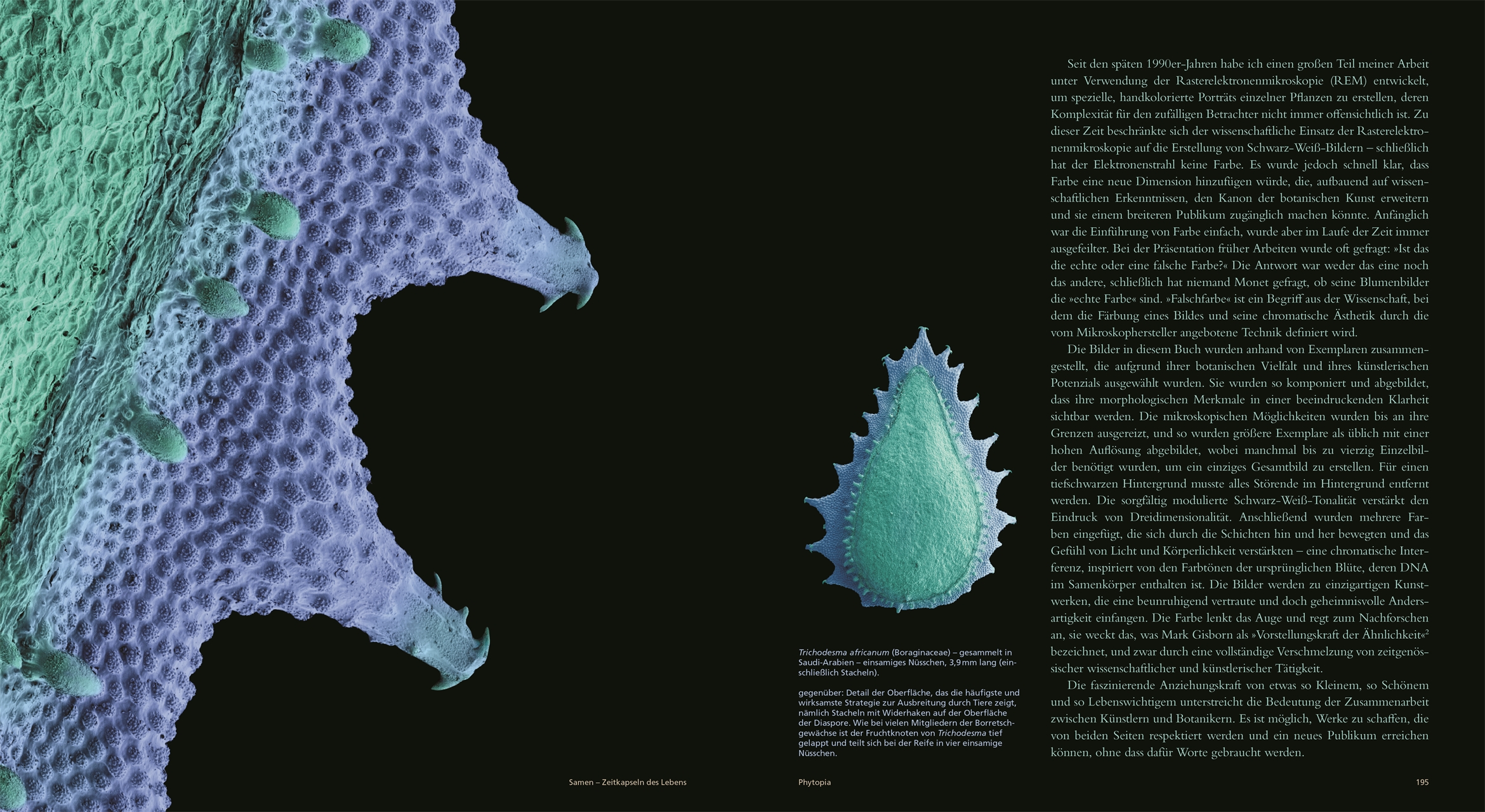 9783831049974_innenansicht_06 9783831049974_innenansicht_06.jpg