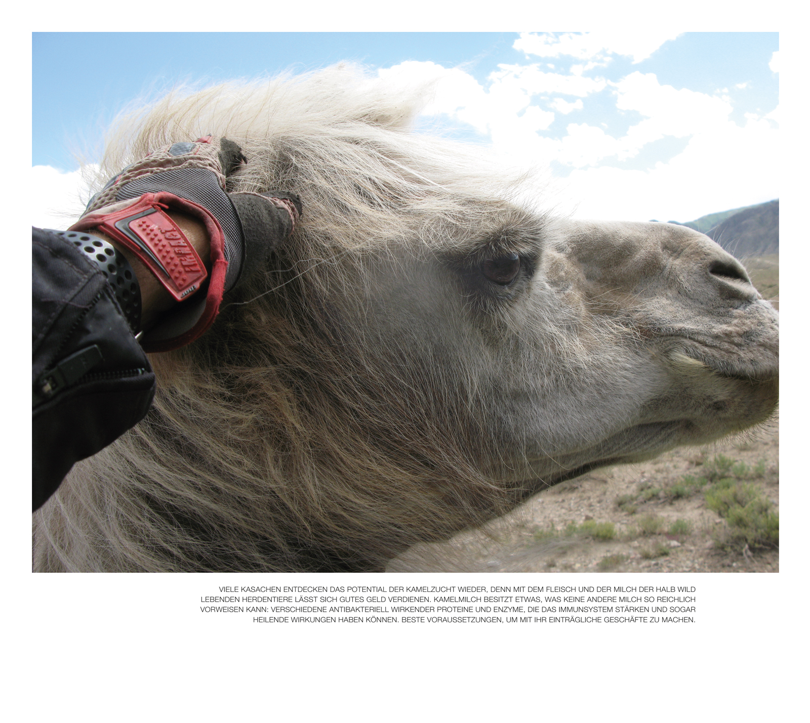 9783981717457_innenansicht_04.jpg 9783981717457_innenansicht_04.jpg