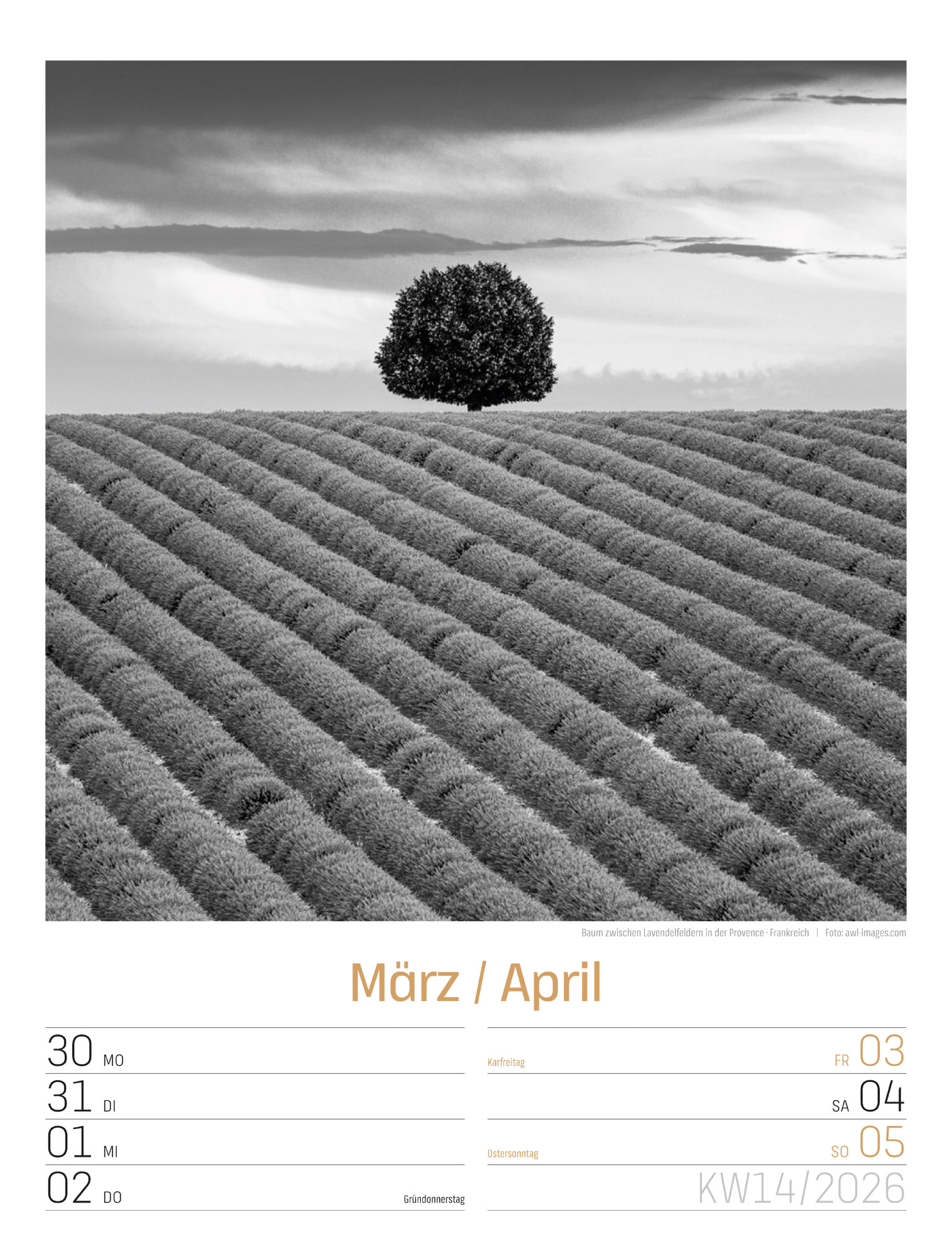 9783838436265_innenansicht_17 9783838436265_innenansicht_17.jpg