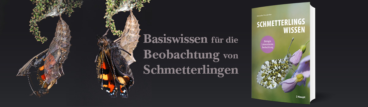 9783258083582_buehnenbild 9783258083582_buehnenbild.jpg