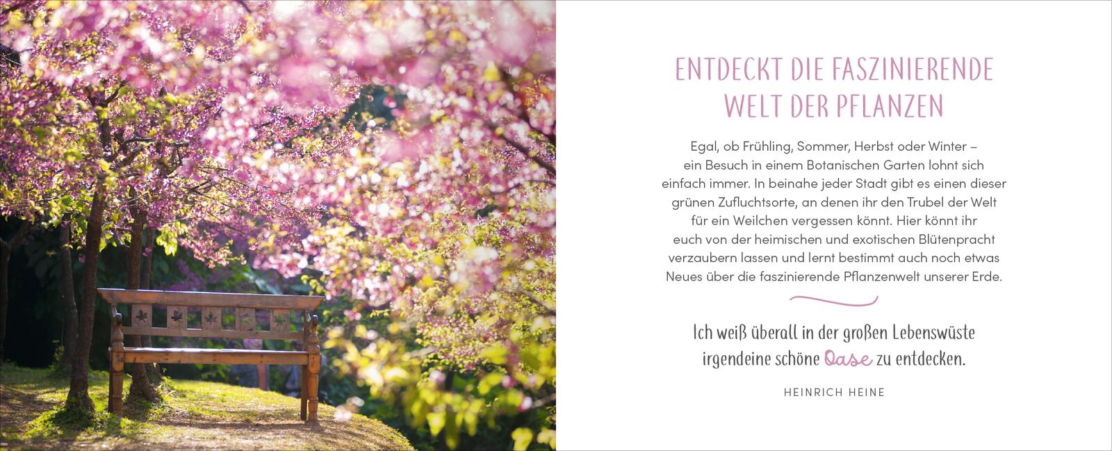 9783845860015_innenansicht_02.jpg