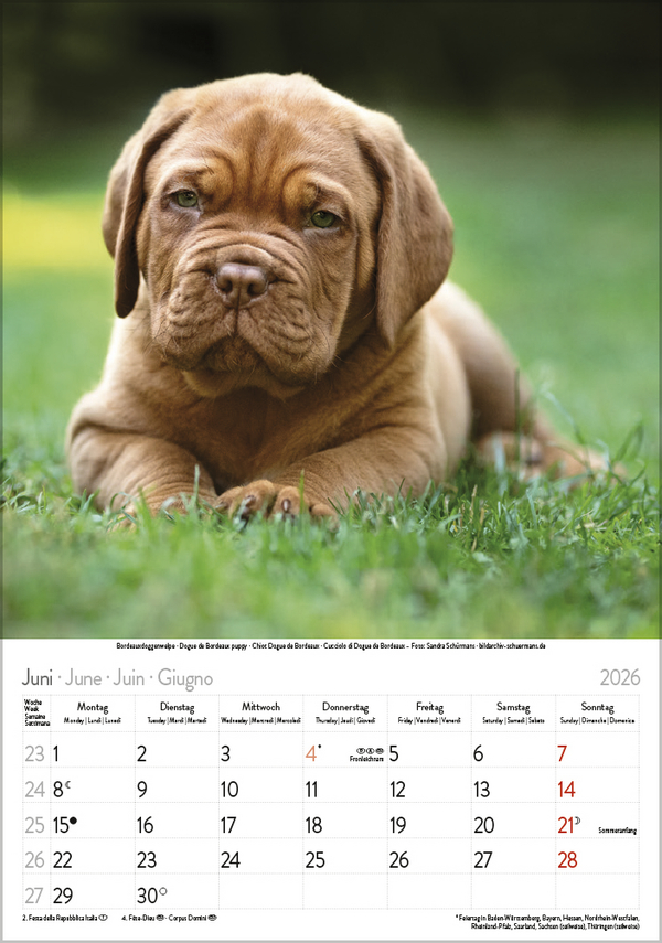 9783731883616_innenansicht_06 9783731883616_innenansicht_06.jpg