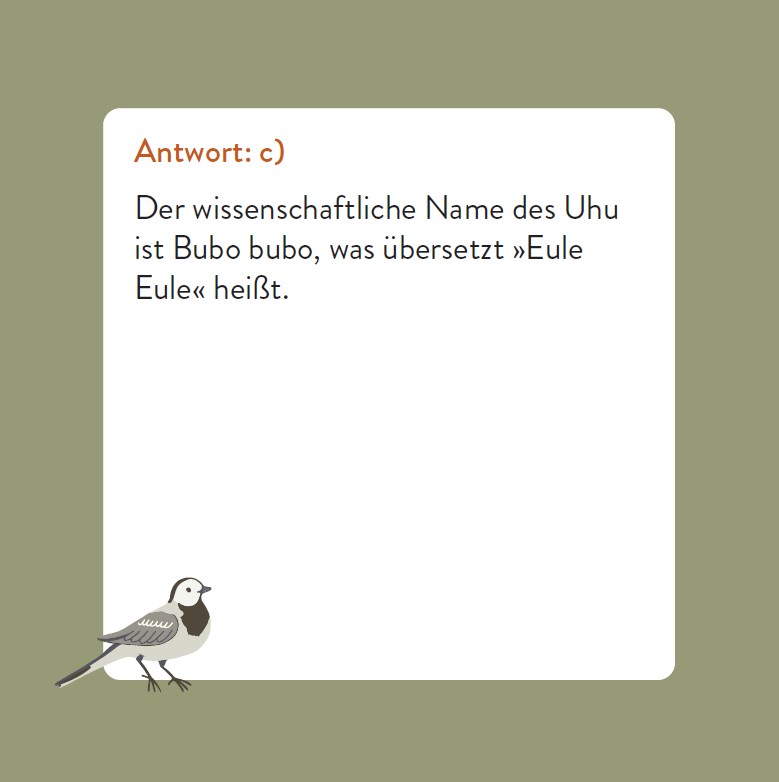 9783747206768_innenansicht_06.jpg
