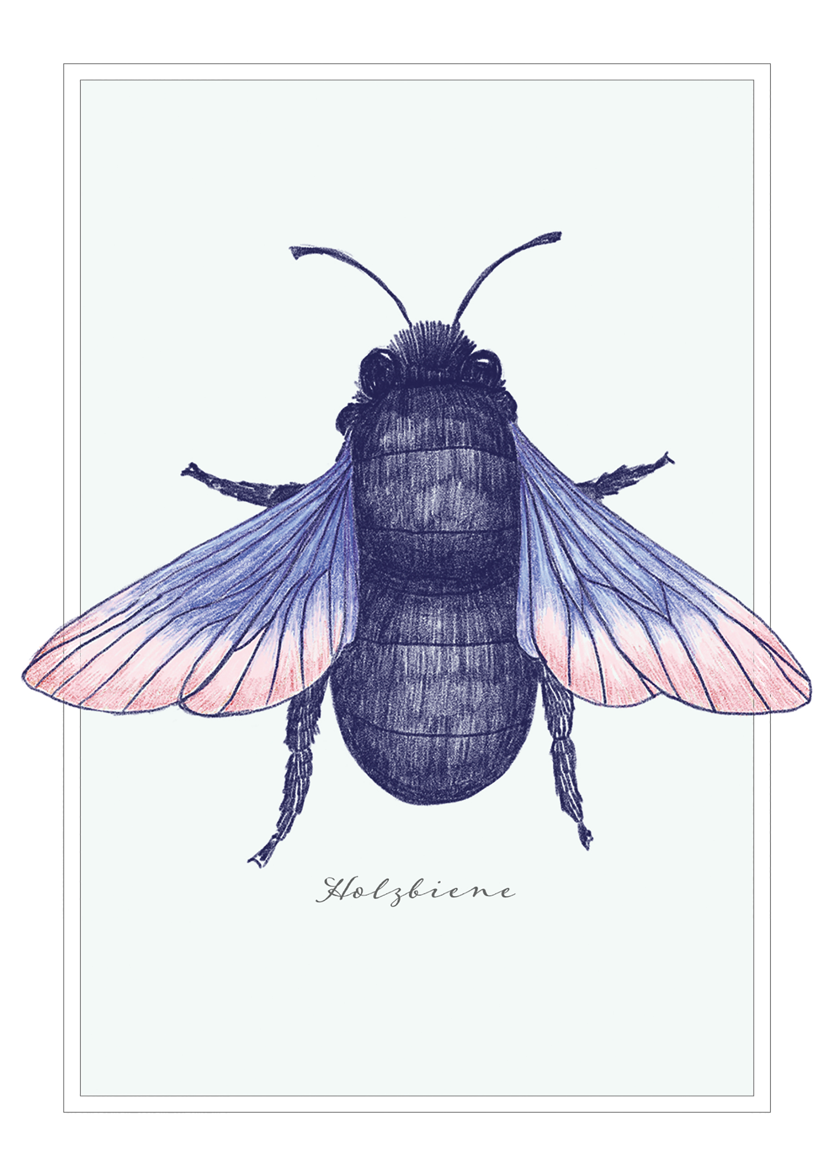 4250222903221_innenansicht_07 4250222903221_innenansicht_07.jpg