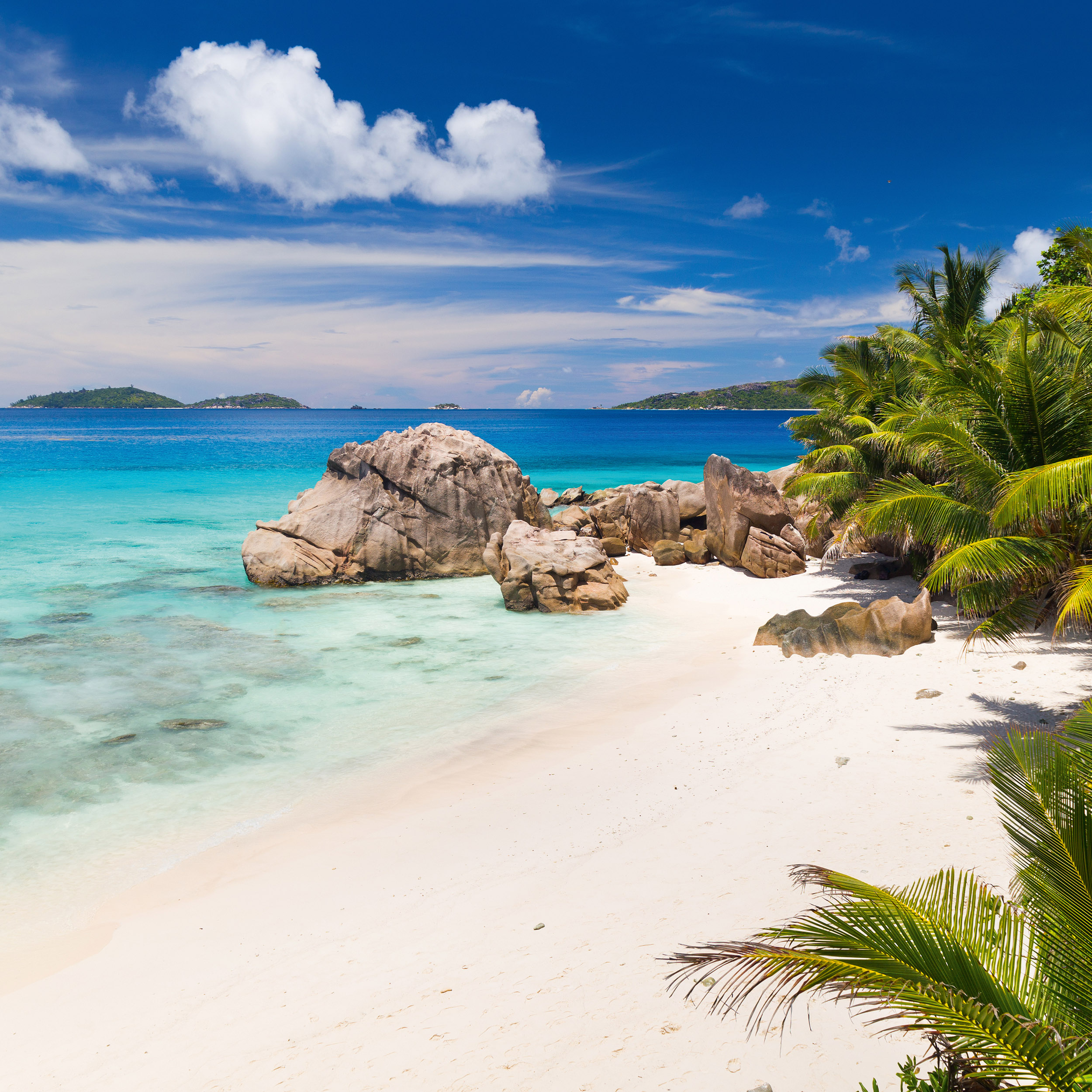 9783959295819_innenansicht_06 9783959295819_innenansicht_06.jpg