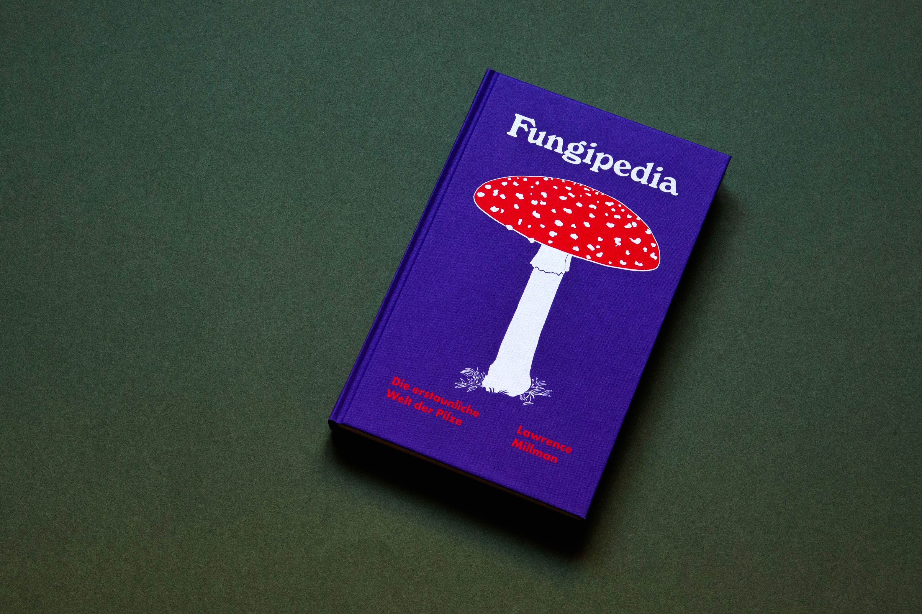 9783948722357_produktbild_01 9783948722357_produktbild_01.jpg