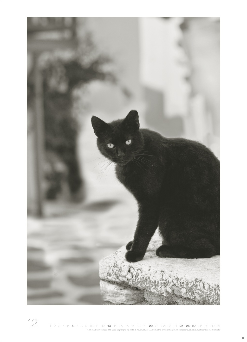 9783756411313_innenansicht_12 9783756411313_innenansicht_12.jpg