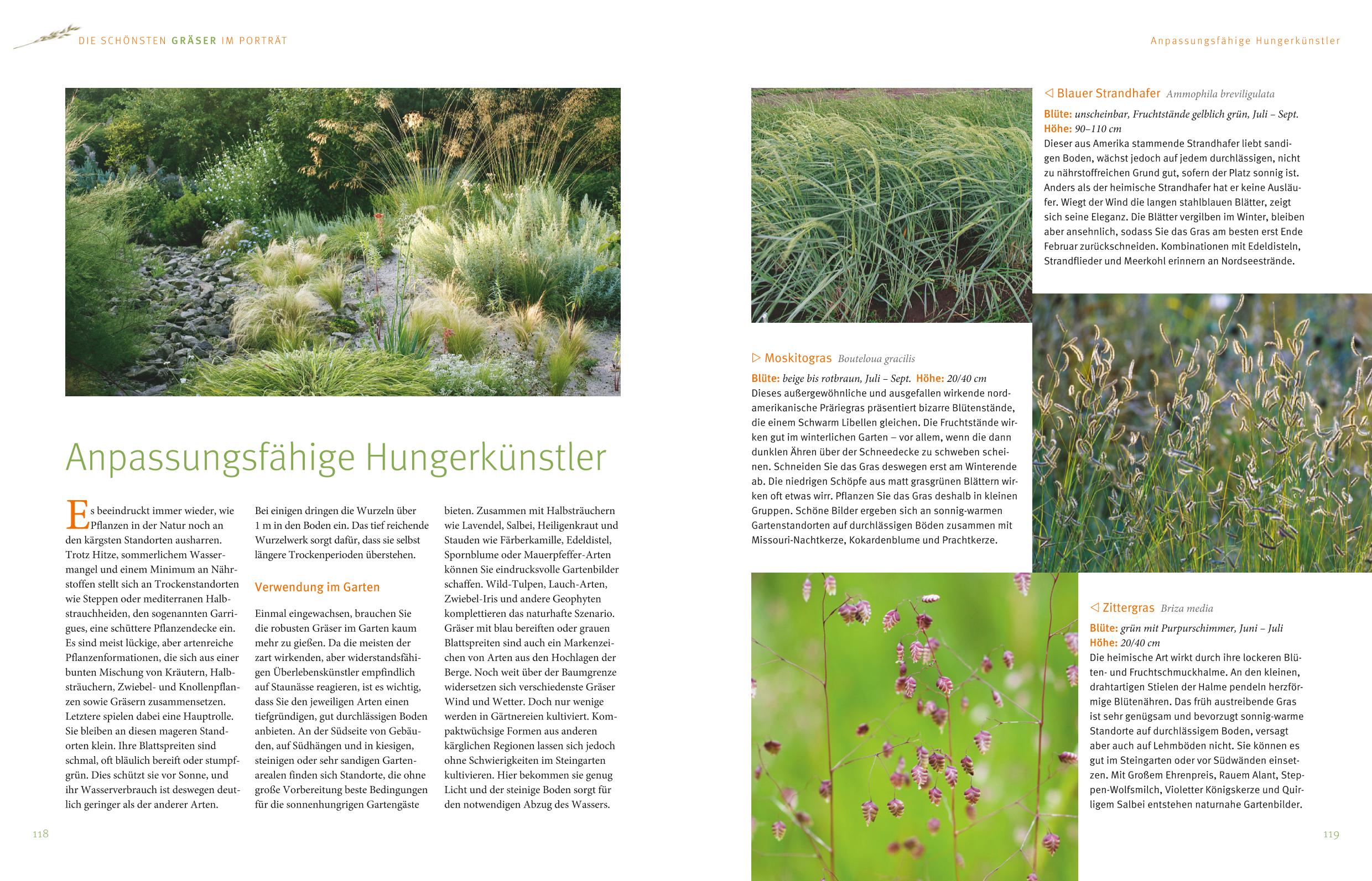 9783833827778_innenansicht_06 9783833827778_innenansicht_06.jpg