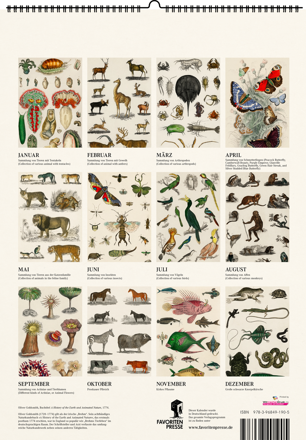 9783968491905_BC 9783968491905_BC.png