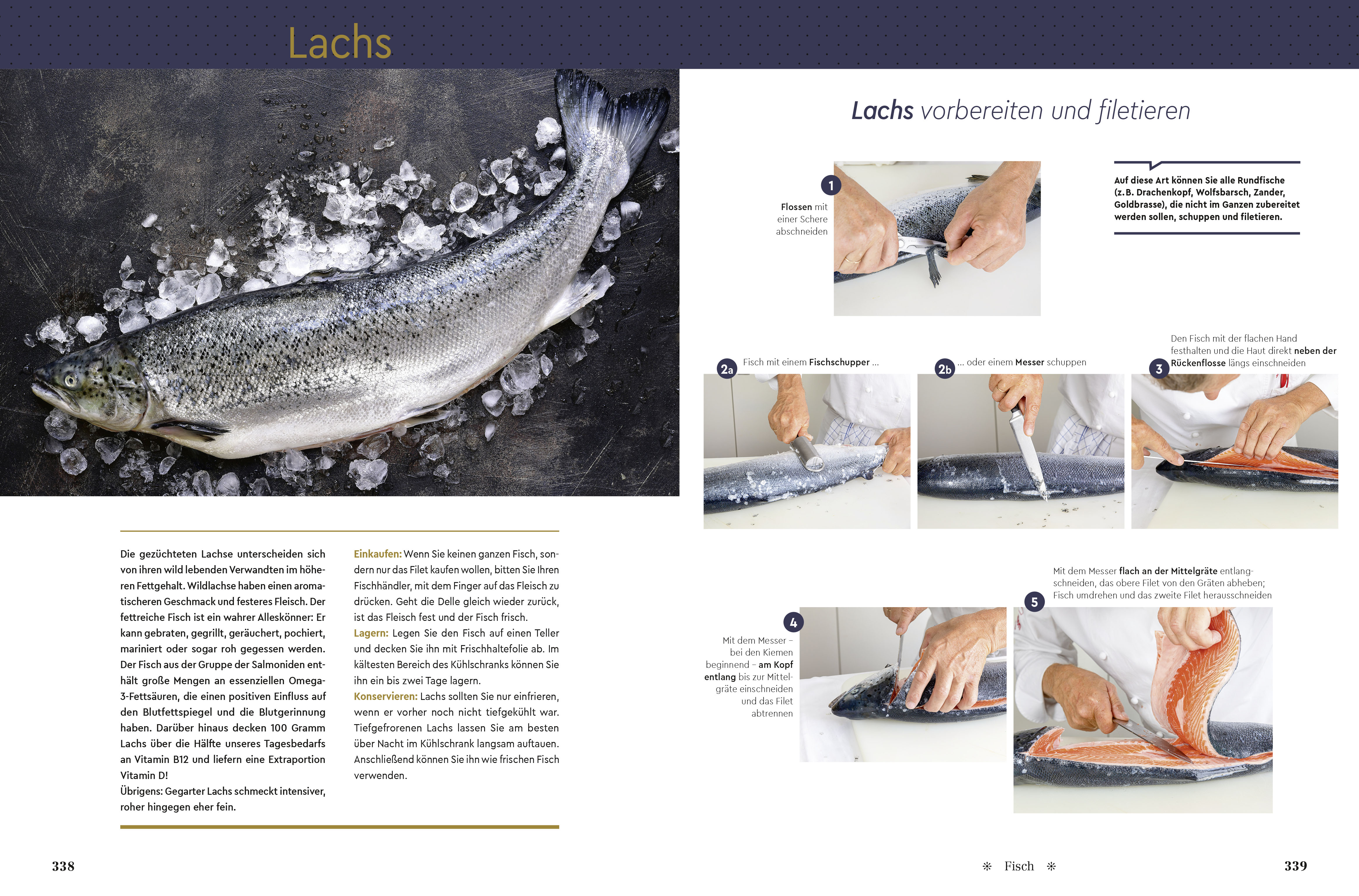 9788868392000_innenansicht_08 9788868392000_innenansicht_08.jpg