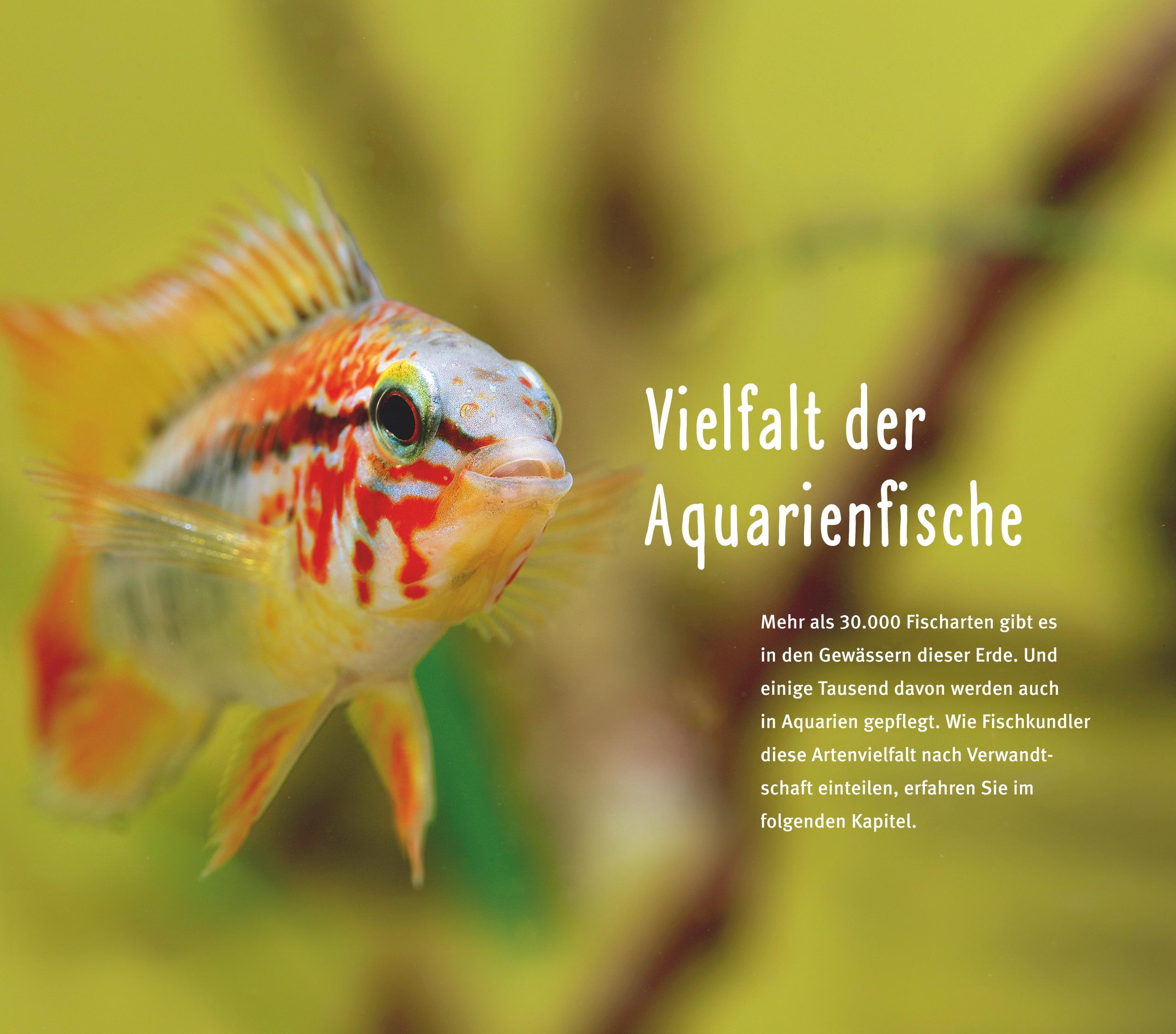 9783833855788_innenansicht_02.jpg