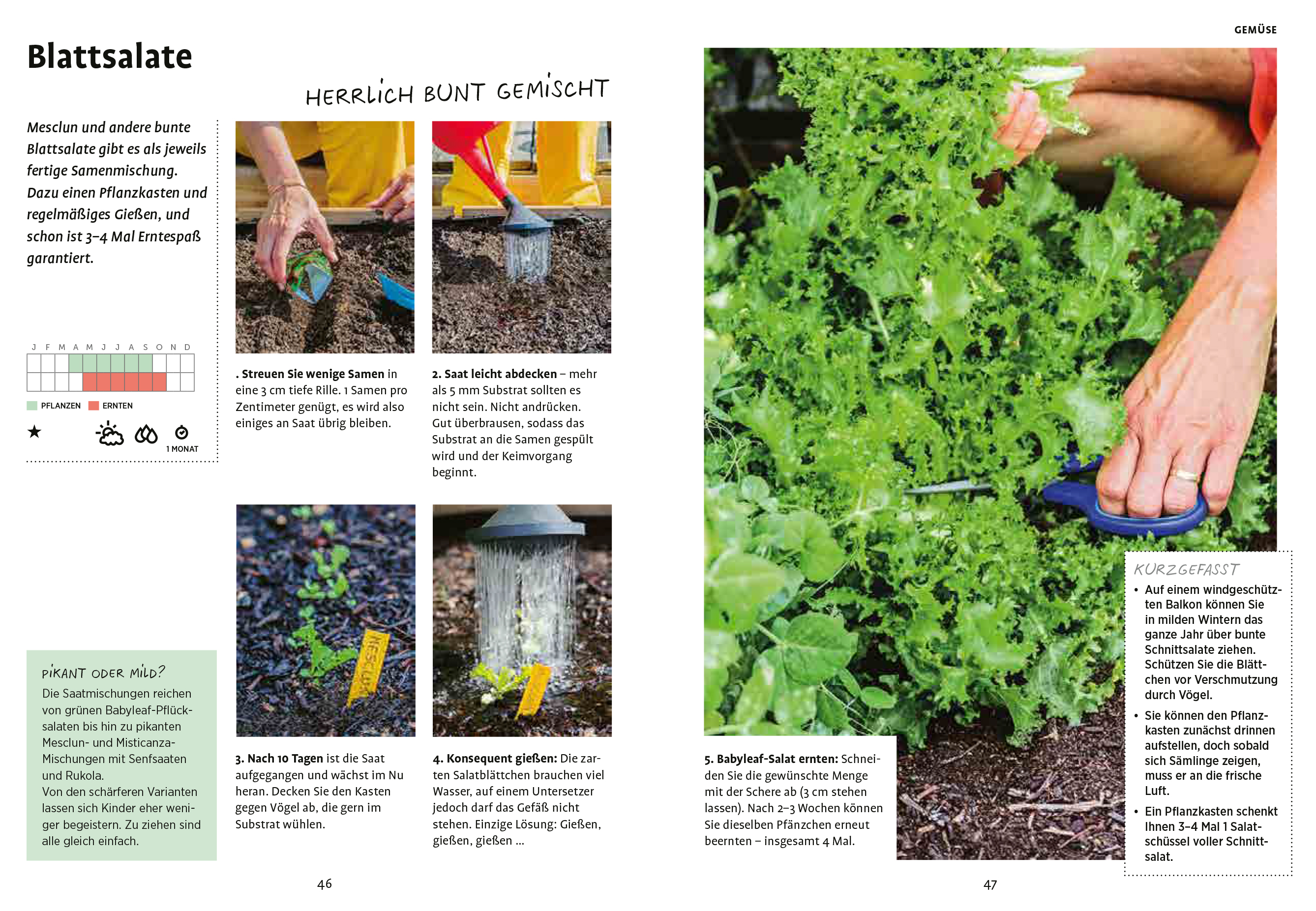 9783818610289_innenansicht_03 9783818610289_innenansicht_03.jpg