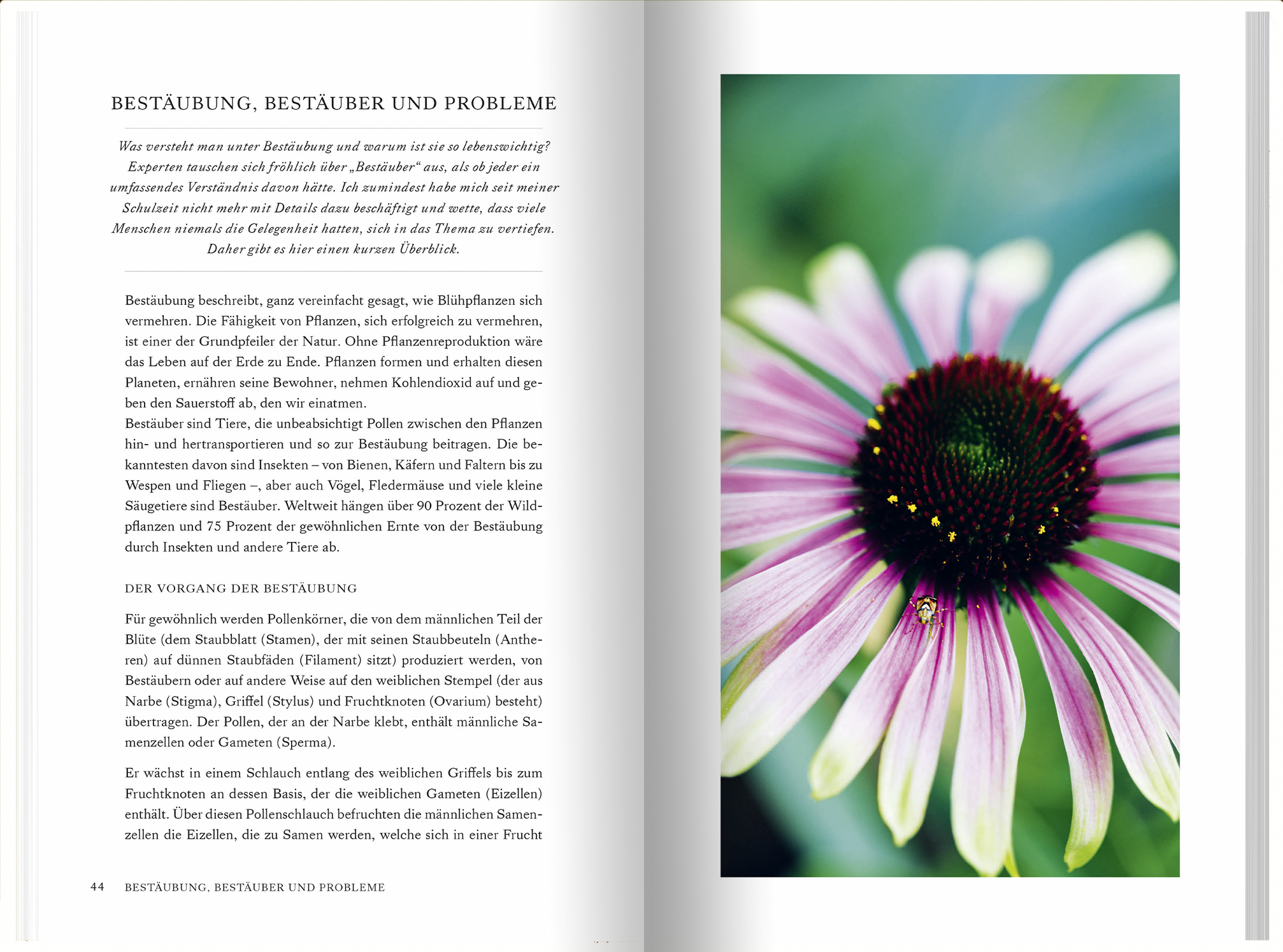 9783784357935_innenansicht_02 9783784357935_innenansicht_02.jpg