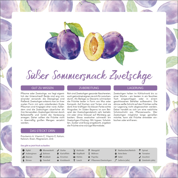 9783731886563_innenansicht_08.jpg