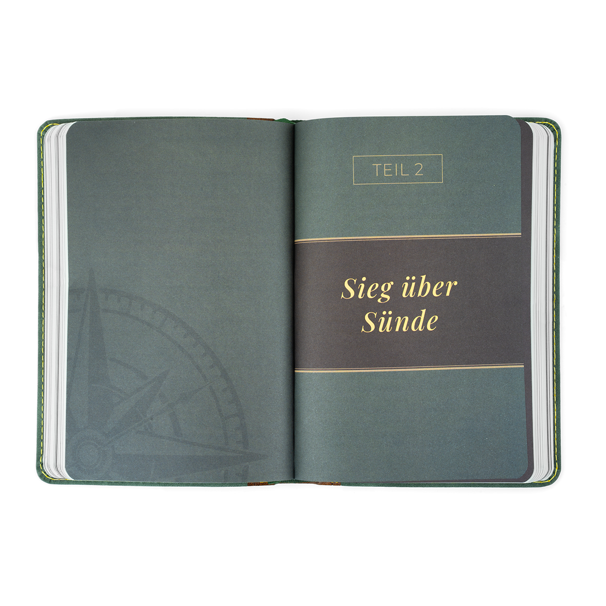 9783989676183_innenansicht_01.jpg