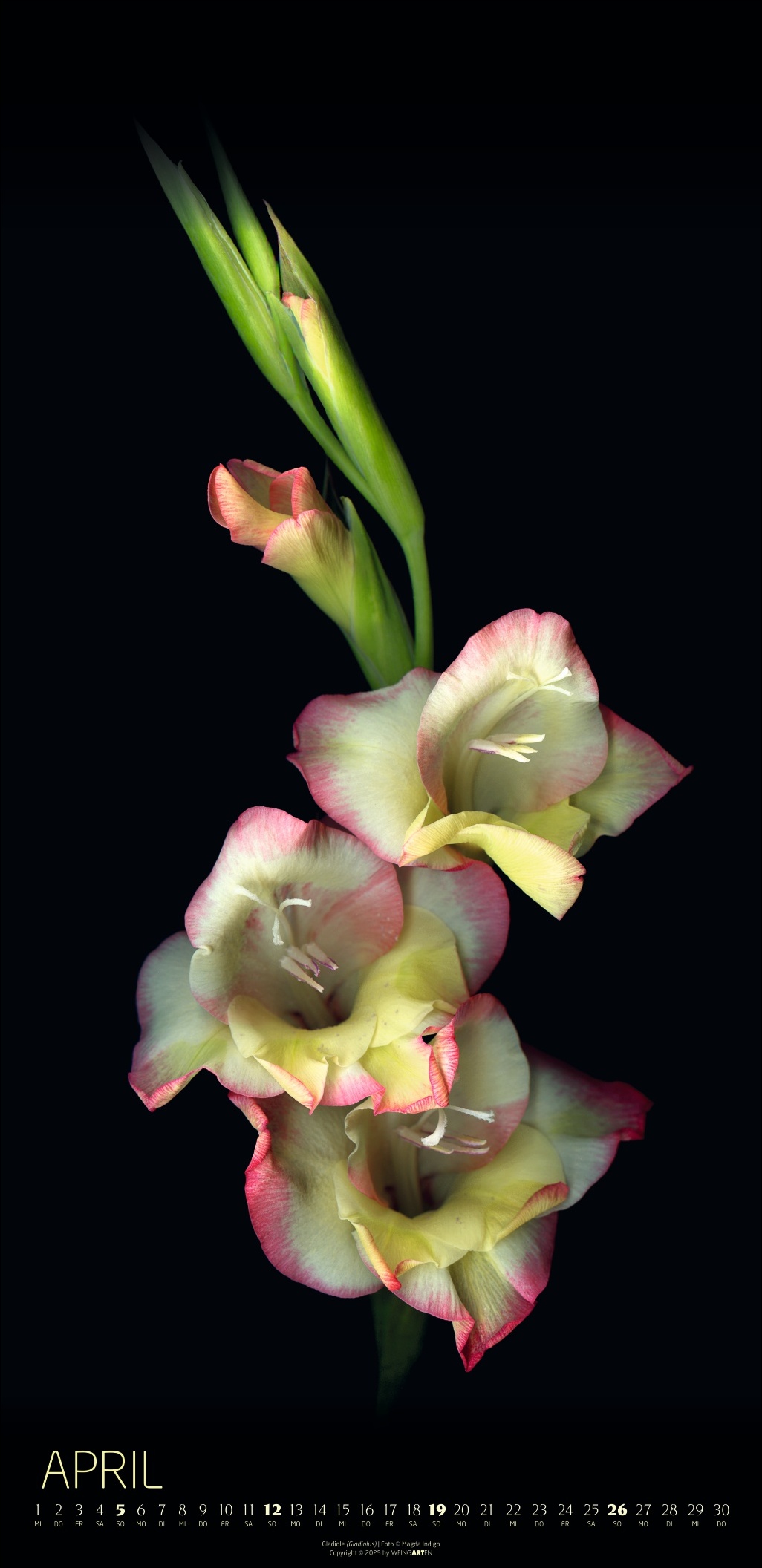 9783839902523_innenansicht_04.jpg