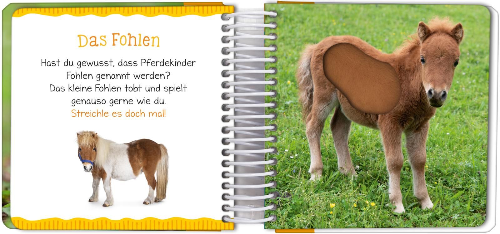 9783845837468_innenansicht_01.jpg