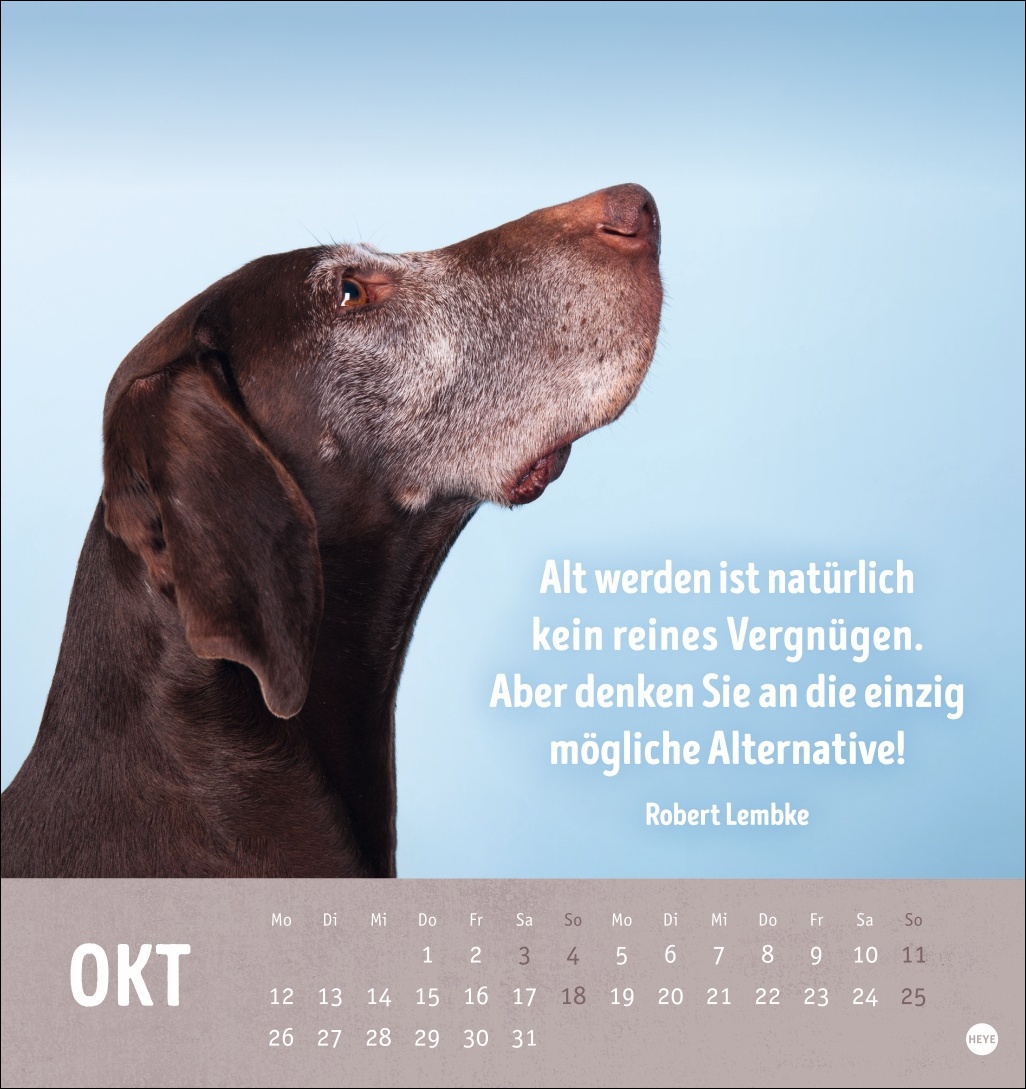 9783756413522_innenansicht_10.jpg