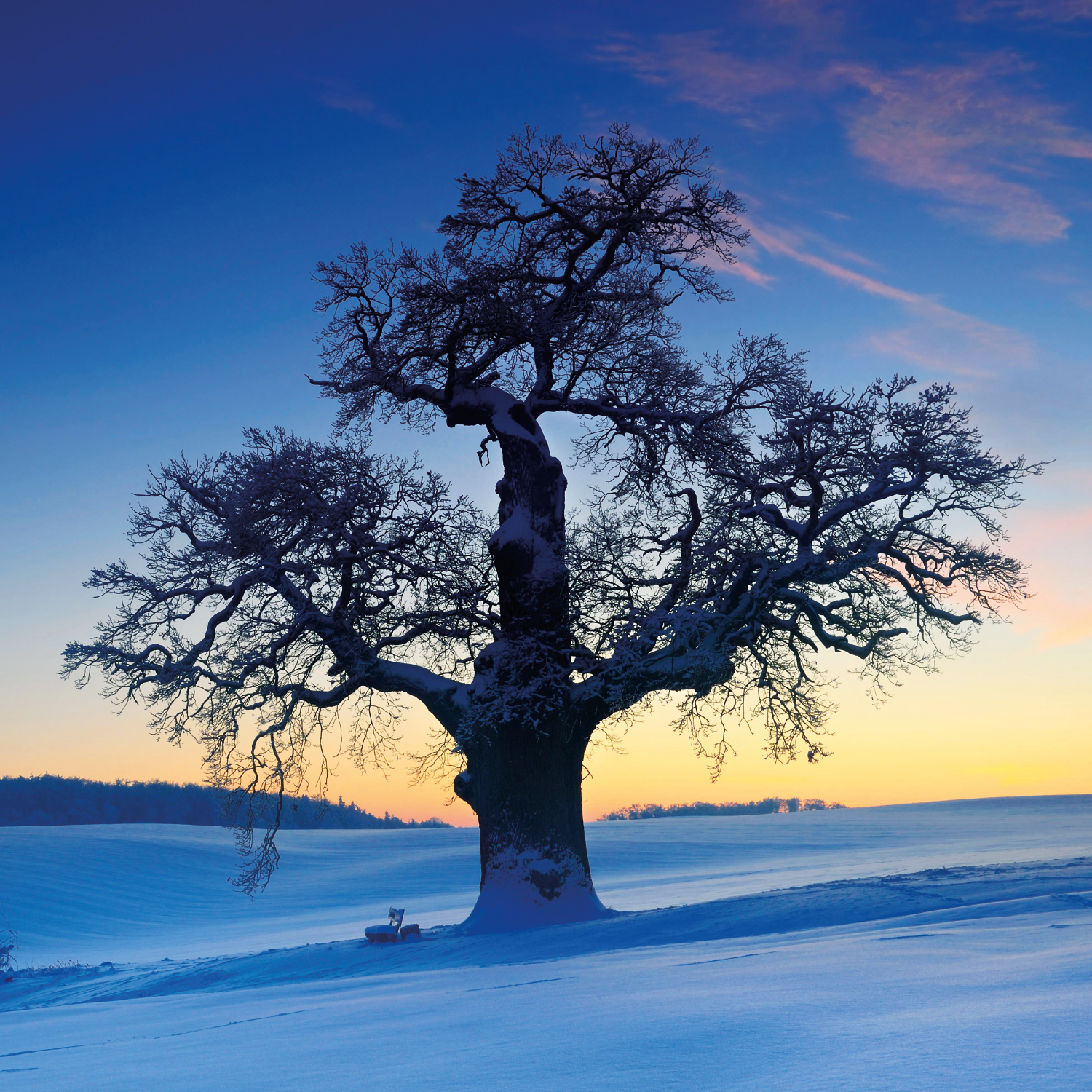 9783965913141_innenansicht_09 9783965913141_innenansicht_09.jpg