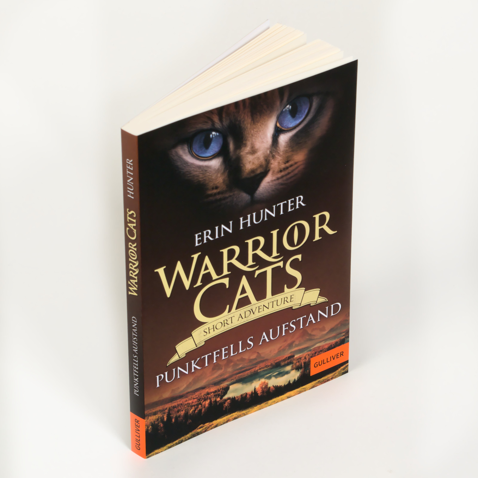 9783407813343_weiterecover_01 9783407813343_weiterecover_01.jpg