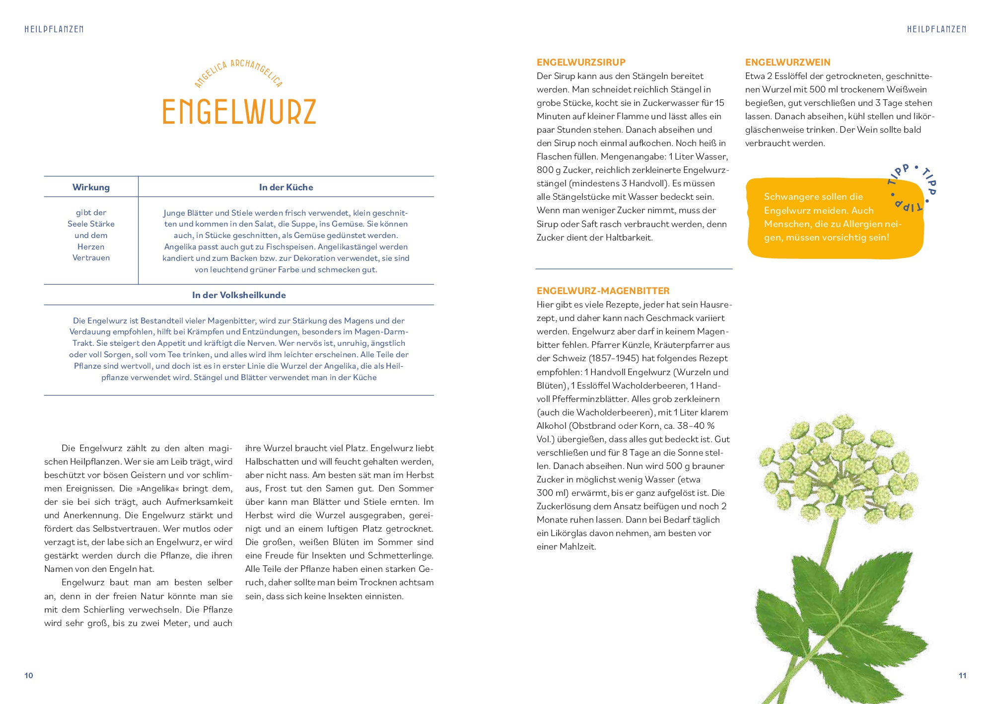 9783708808642_innenansicht_15 9783708808642_innenansicht_15.jpg