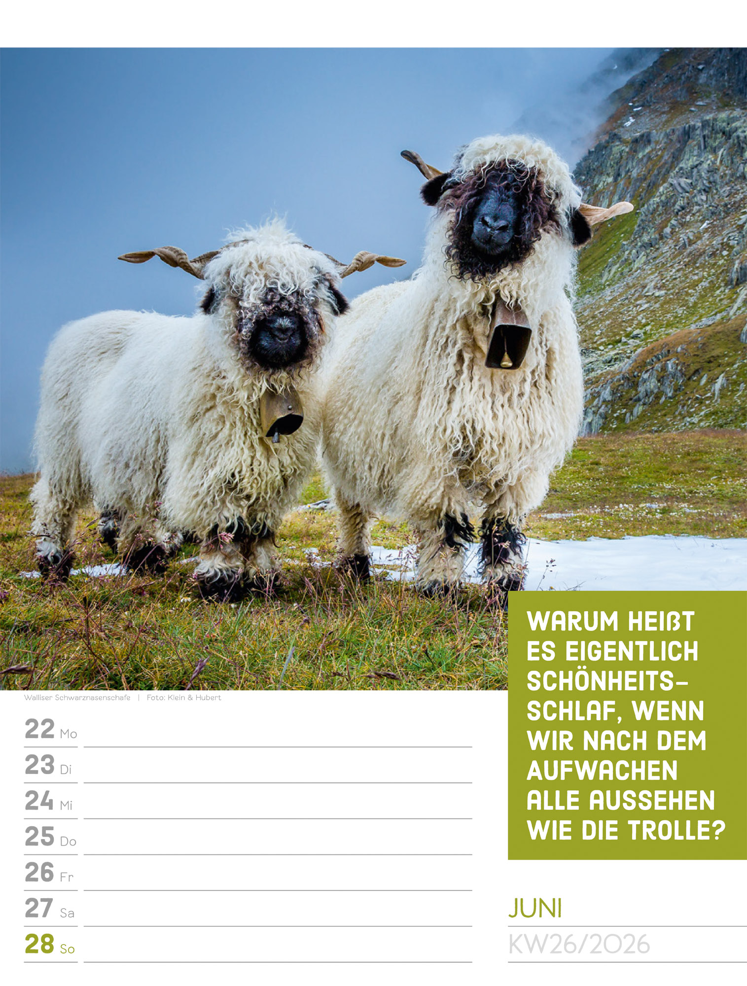 9783838426969_innenansicht_29.jpg