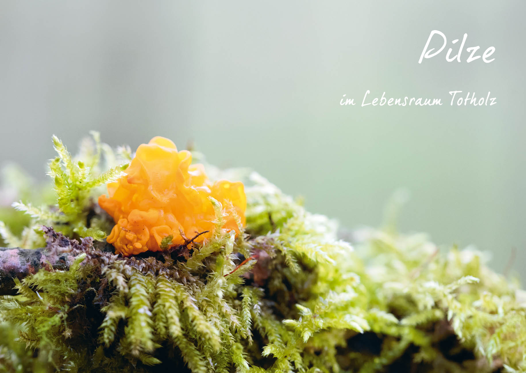 9783895664014_innenansicht_09.jpg 9783895664014_innenansicht_09.jpg