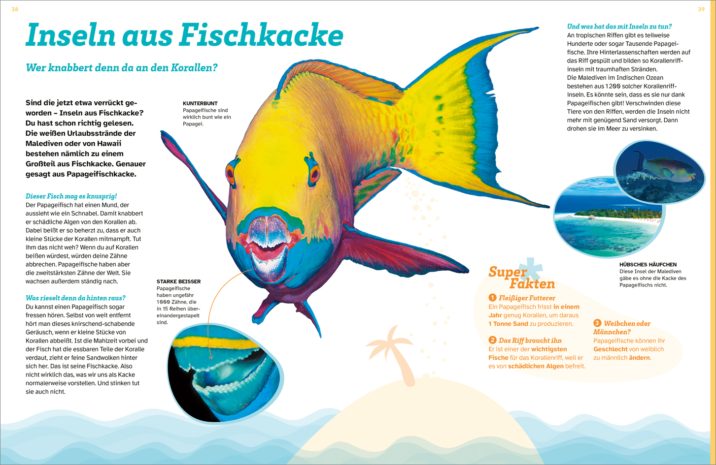 9783788677138_innenansicht_03 9783788677138_innenansicht_03.jpg